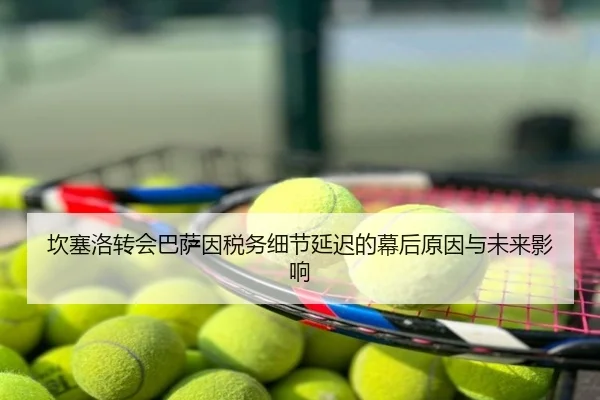 坎塞洛转会巴萨因税务细节延迟的幕后原因与未来影响 | zotysports
